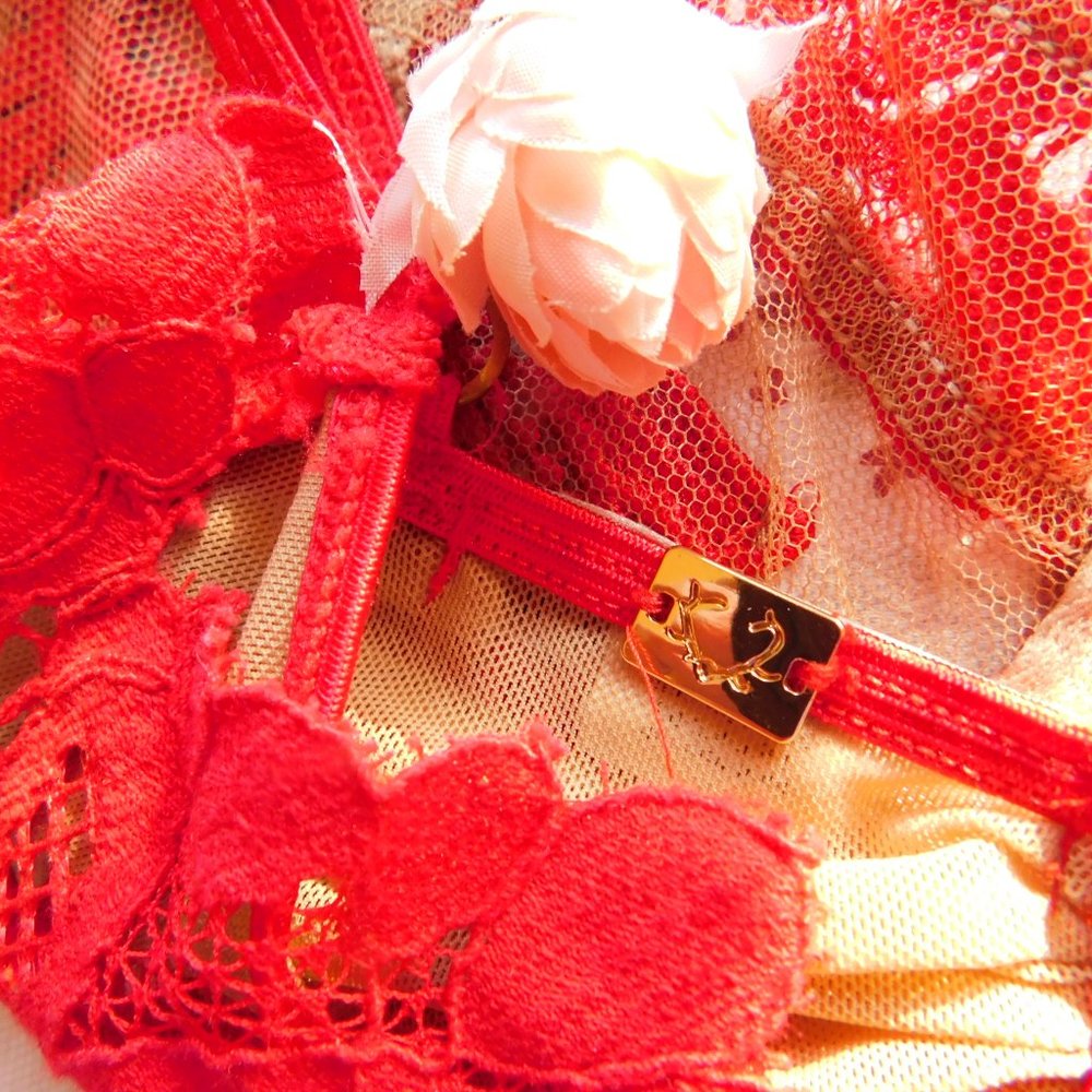 Fll "Ruby" Red Underwire Bra - image 4